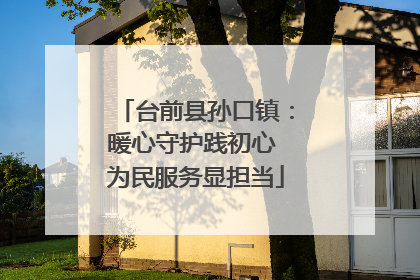 台前县孙口镇：暖心守护践初心 为民服务显担当